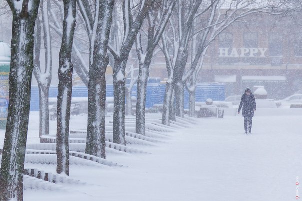 Ростов зимой 2015